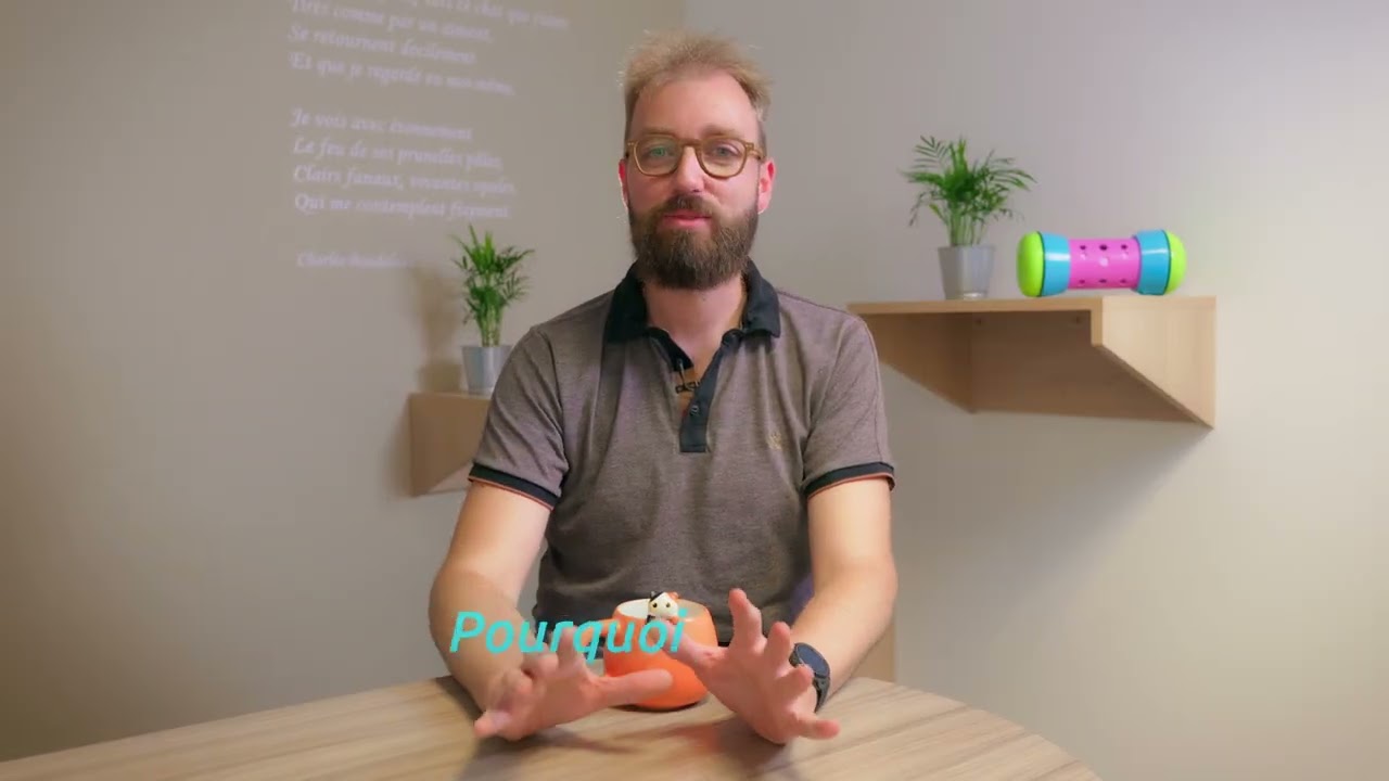 Les comportements normaux du chat expliqués par un vétérinaire