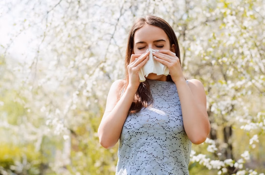 Allergie au Pollen : Symptômes et Solutions
