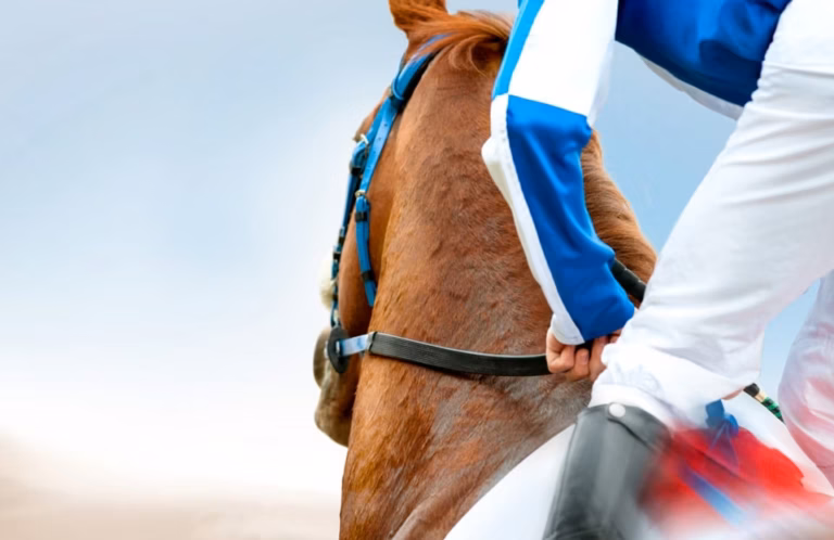 Gérard Cazeneuve souligne l&rsquo;importance des soins constants pour le bien-être des chevaux de course