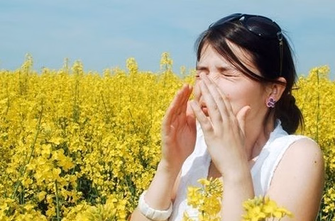 Allergie au pollen : symptômes respiratoires et oculaires à reconnaître en image